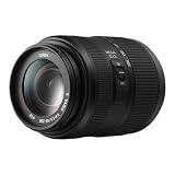 Panasonic 45-200mm f/4.0-5.6 Lumix G Vario MEGA OIS Zoom Micro Four Thirds
