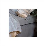 418ibQAOJ%2BL. SL160  Daniadown 624003123X Manhattan Extra Deep Fitted Sheet