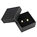 Beautiful Men's Stainless Steel Hoop Earrings Jewelry (Gold & Black)
