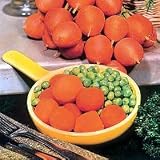 Outdoor Living : Carrot Parmex