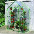 Walk-In Greenhouse