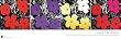 Andy Warhol Sixties Flowers Pop Art Poster Print 12x36