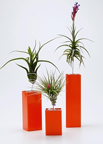 AirplantVessel (steel)