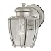 Westinghouse Lighting 64688 Slvr Outdoor Fixture