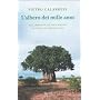 L'albero dei mille anni. All'improvviso un cancro,&hellip di Pietro Calabrese