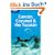 Canc�n, Cozumel & the Yucat�n (Lonely Planet Cancun, Cozumel & the Yucatan)