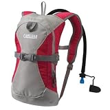 CamelBak Kicker Backpacks Silver Beet, One Size