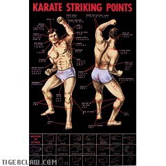 Karate Striking Points Posters