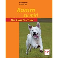 Komm zu mir! (Die Hundeschule)