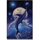 Dolphin (Balance of Life) Art Poster Print