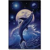 Dolphin - Balance of Life Poster