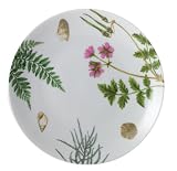 Spode Shoreline Salad Plate 8- 1/2 inch