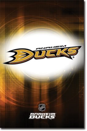 (22x34) Anaheim Ducks Logo 2010 Sports Poster Print