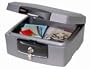 SentrySafe H2100 FIRE-SAFE Waterproof Chest, 0.36 Cubic Feet, Silver Gray
