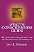 Wealth Consciousness Guide: Wealth and Abundance Law of Attraction Techniques