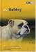 The Bulldog (About Pets)