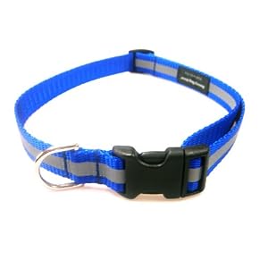 Large Reflective Blue Nylon Webbing Dog Collar: 3/4