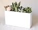 solxsol �����A�� White square pot 10907
