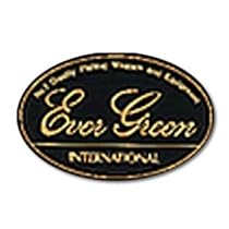 エバーグリーン(EVERGREEN) エバーグリーンステッカー M