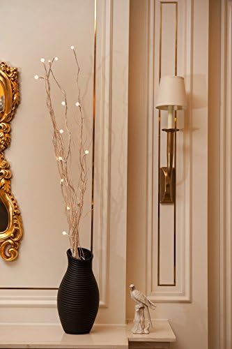 Lifa and Best 36 Inch 16 LED Natural Twig Branch Light with Timer,Battery Powered,White Branch
