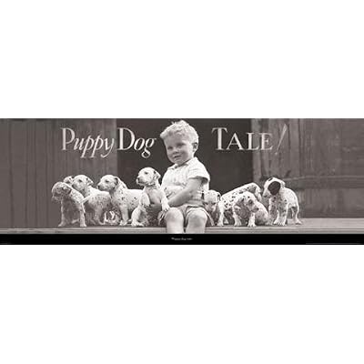 black and white photo of boy and puppies