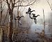 Backwater by Jim Hansel. PLAQUE MOUNTED. 22.00 inches width by 18.00 inches height. Highest Quality Art Poster Print