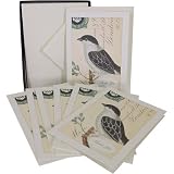Birds Thank You Cavallini Glitter Cards ~ 10 boxed notecards and envelopes