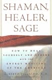 Shaman, Healer, Sage