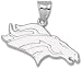 Denver Broncos Logo Giant 2-D 10K Charm/Pendant