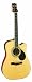 Silvertone Dreadnought Acoustic Electric Guitar, Natural