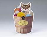 Let Me Out Kitty Birthday Card