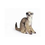 Review Schleich 14362 / Sitting Meerkat Toy, 1.96