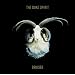 Bruiser [VINYL]