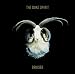 Bruiser [VINYL]
