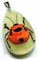 Glow in the Dark Red Bug Necklace