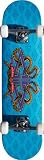 Powell 124 k12 Celtic Dragon 2 Complete Skateboard 7.5 inch