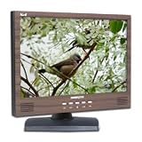  : HANNS-G 19' Widescreen TFT LCD Display Monitor (HANNSboston)