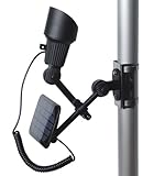 Valley Forge The Liberty Light 60 LUX Residential Solar Flagpole Light