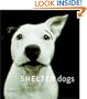 Shelter Dogs