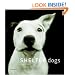 Shelter Dogs