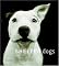 Shelter Dogs