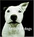 Shelter Dogs