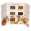 Gourmet Village Dip Mix Party Pack