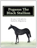 Pegasus The Black Stallion