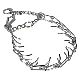 Spiked Training Collar - Medium