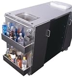 CartOS Beer Cooler Outdoor Refrigerator or Ice Cream Freezer (Stainless Steel)- Approved For Outdoo