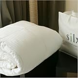 Silk-Filled Mattress Topper Size: Full