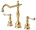 Danze D304057PBV Opulence Two Handle Widespread Lavatory Faucet, Polished Brass PBV