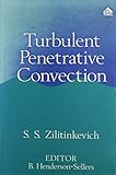 Turbulent penetrative convection