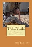 Turtle: The American Contrition of Franz Ferdinand
